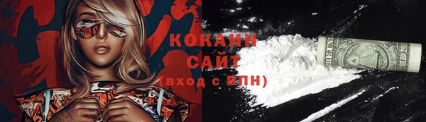 индика Покровск